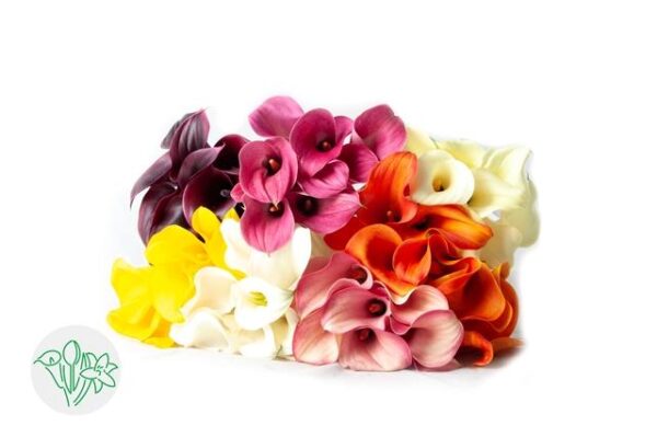 Calla Assorted