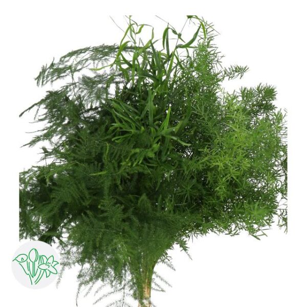 Asparagus Mixed