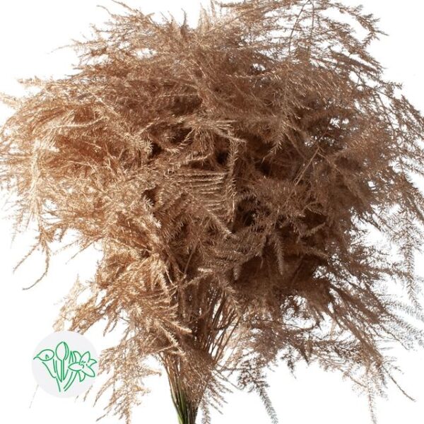 Asparagus Dyed Feathers Antique