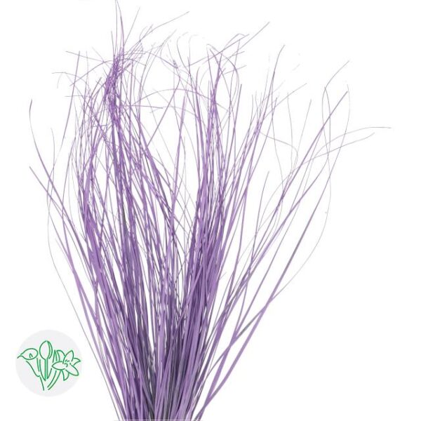 Bear Grass Milka