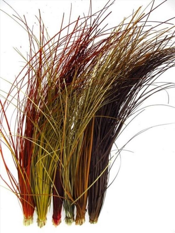 Bear Grass Mix