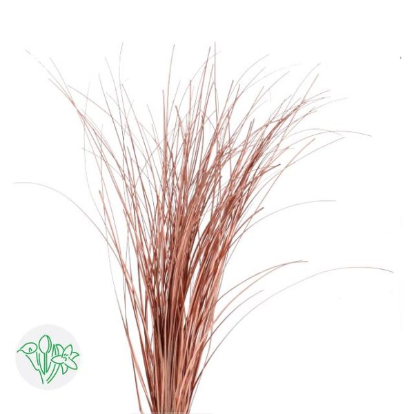 Bear Grass Copper