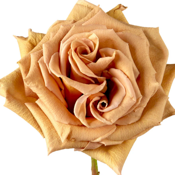 Rose Toffee