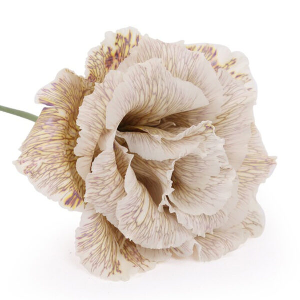 Lisianthus Dbl Dyed Alissa Brownies